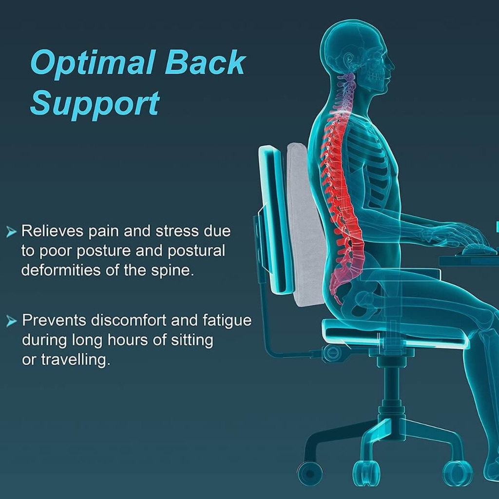 Tynor Back Rest Full I46 | Ergonomic Full Back Support Cushion
