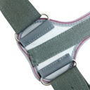 Tynor Clavicle Brace With Fastening Tape C05 | Ergonomic Clavicle Alignment Support