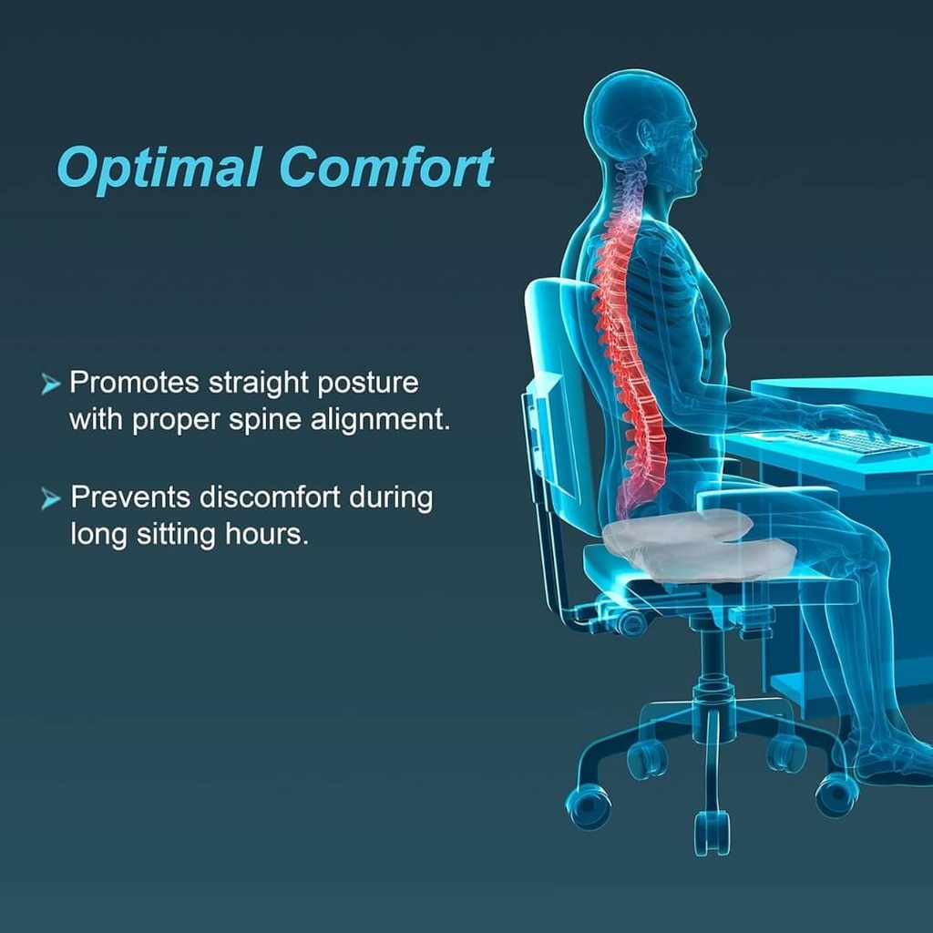 Tynor Ortho Cushion Seat H23 | Coccyx Support Cushion