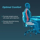 Tynor Ortho Cushion Seat H23 | Coccyx Support Cushion